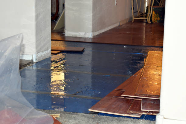 Professional Water Damage Restoration technician working in Fulshear, TX